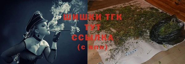 индика Бронницы