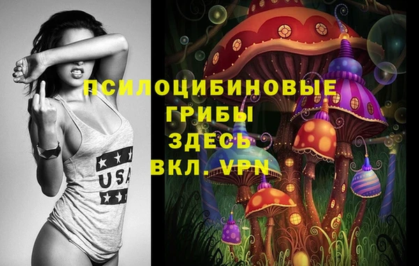 спайс Бежецк