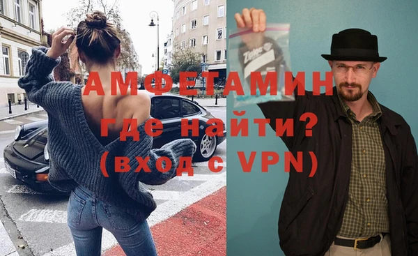 индика Бронницы