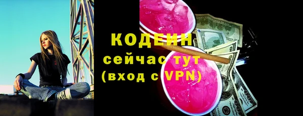 индика Бронницы