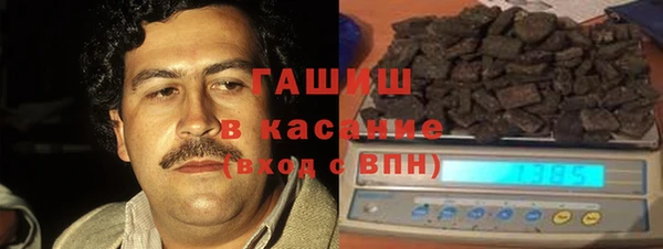 индика Бронницы