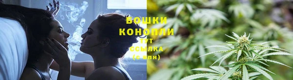 индика Бронницы