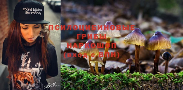 сатива Богородск