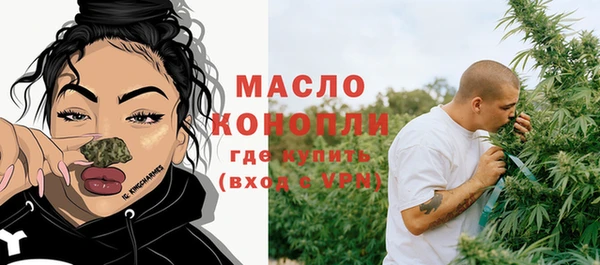 индика Бронницы