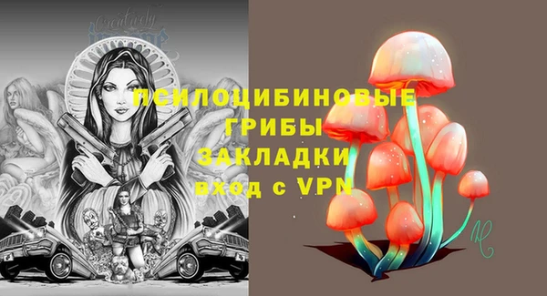 марки lsd Богданович