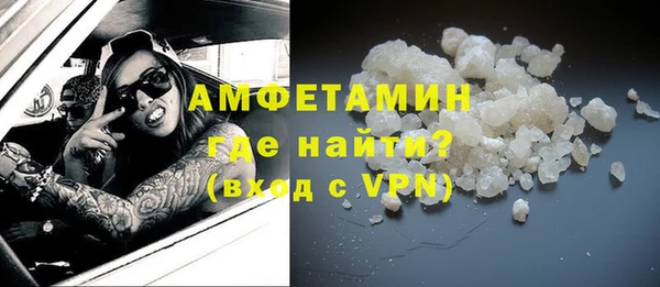 индика Бронницы