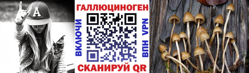 ОМГ ОМГ онион цены Валуйки Псилоцибиновые грибы Psilocybe