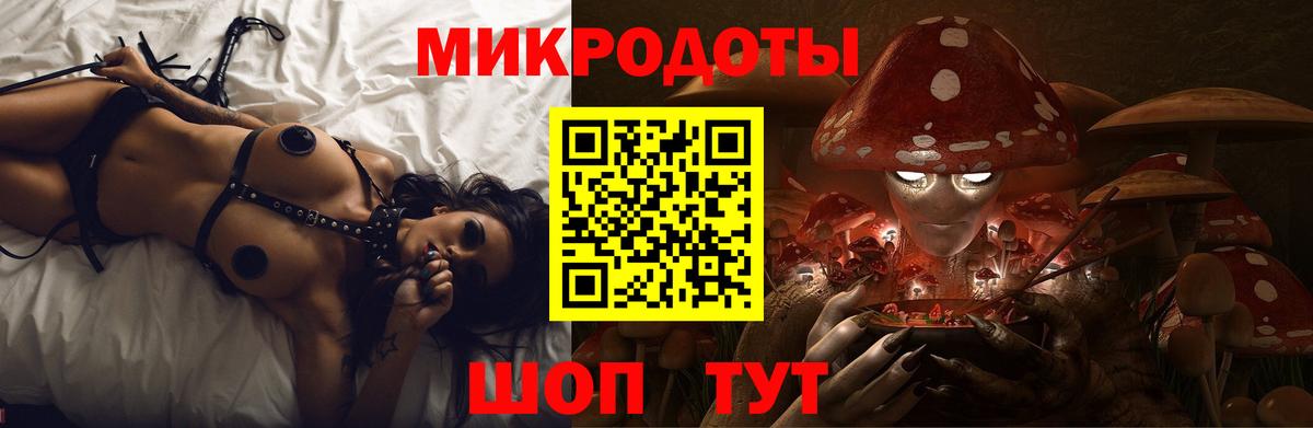Галлюциногенные грибы Psilocybine cubensis Валуйки