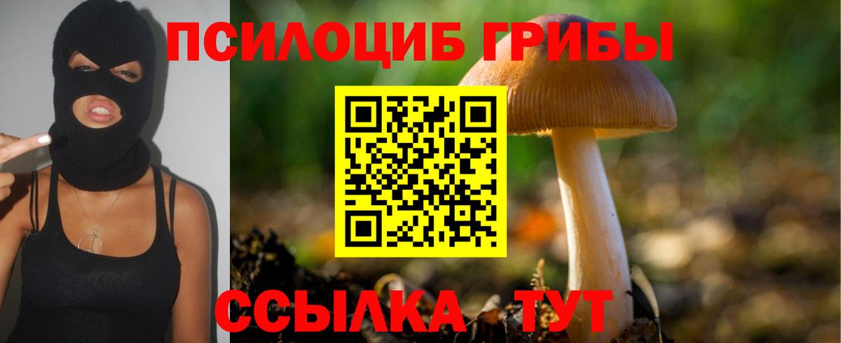 Псилоцибиновые грибы Psilocybe  Вход с VPN  Валуйки  Псилоцибиновые грибы GOLDEN TEACHER 